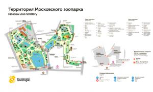 Панорама Московский зоопарк